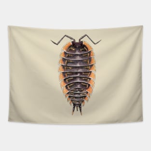 Trachelipus caucasus Isopod Tapestry