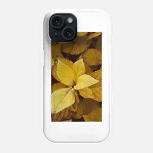 Yellow autumn leaves Phone Case