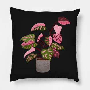 Philodendron Pink Princess Plant in a Pot Illustration Pillow