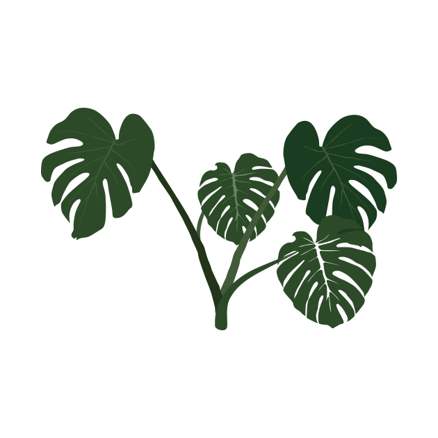 Monstera deliciosa by daidai