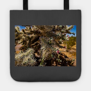 Cholla Cactus along the Apache Trail Tote