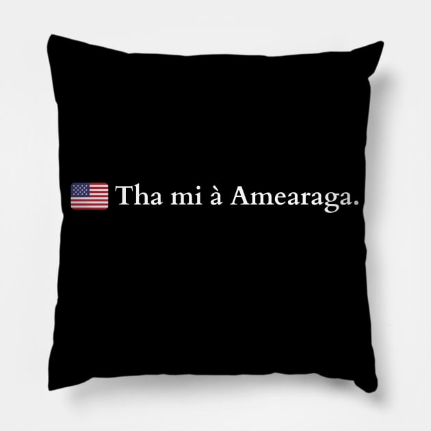 Tha mi à Amearaga - I am From America Scottish Gaelic Pillow by allscots