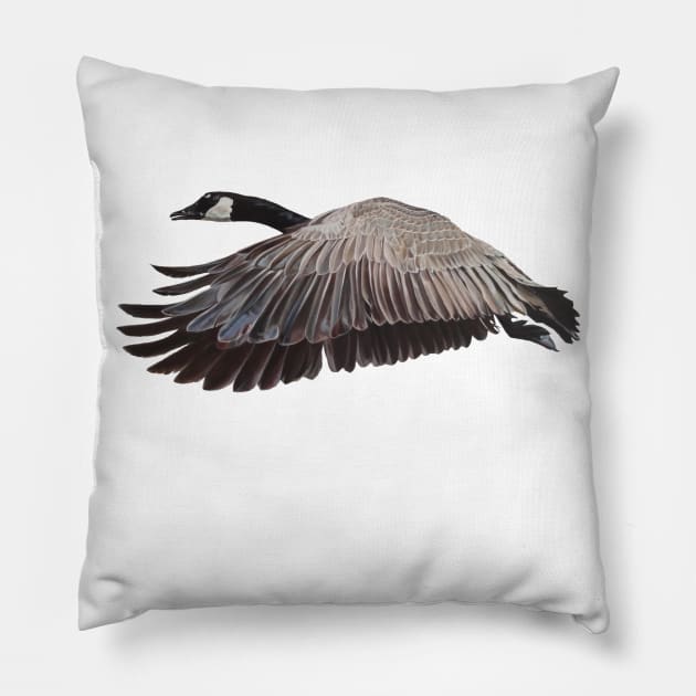 Canada Goose in flight Pillow by EmilyBickell