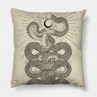 La douleur exquise (light version) Pillow