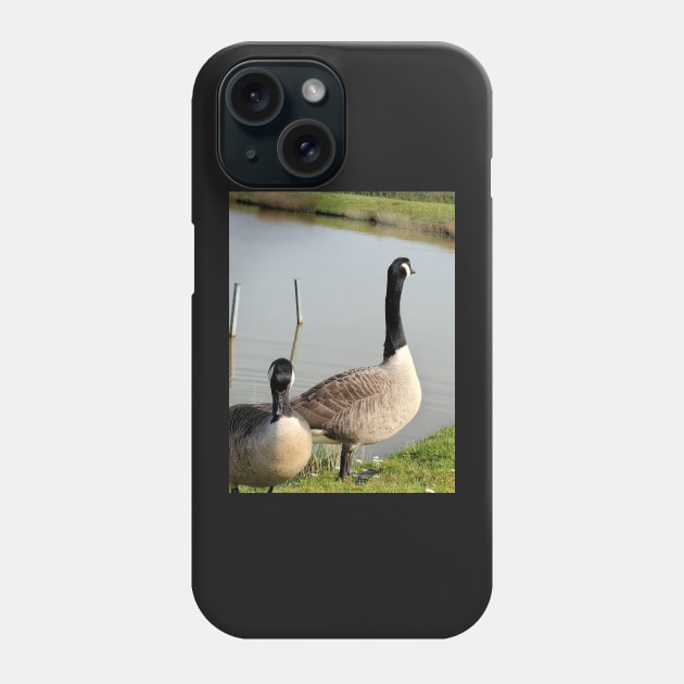 beautiful nature, wild geese, gift Phone Case by AnnaMartaFoley