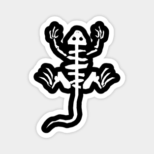 Cartoon Lizard Skeleton Bones Magnet