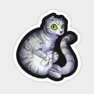 Cozy Scottish Fold Magnet