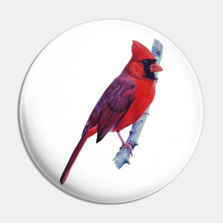 Northern Cardinal in Spring painting (no background) Pin