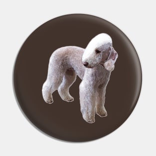 Bedlington Terrier Pin