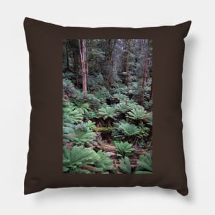 Tree ferns on forest floor. Pillow