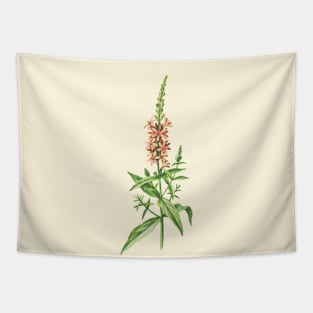 Nature Vintage Botanical Orange Flower Plant Watercolor Art Tapestry