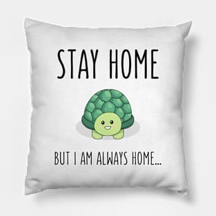 Stay Home Turtle Pillow