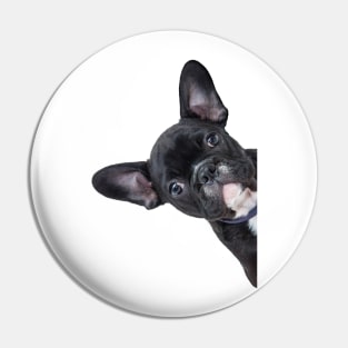 French Bulldog Peekaboo Pin