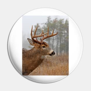 Bullet Buck - White-tailed deer Pin