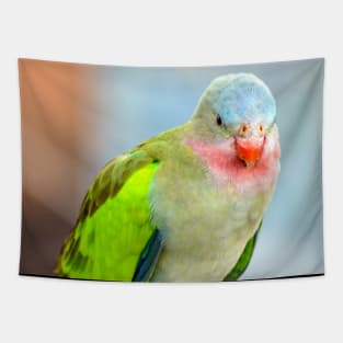 Princess Parrot Tapestry