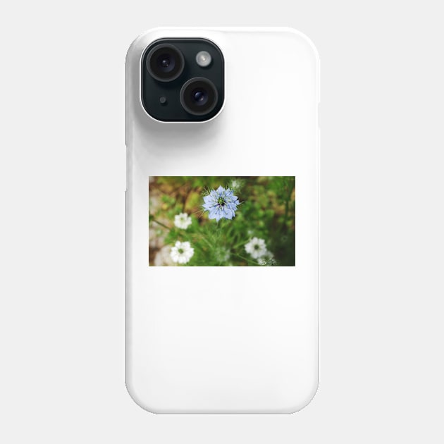 Blue Cornflower Phone Case by jojobob