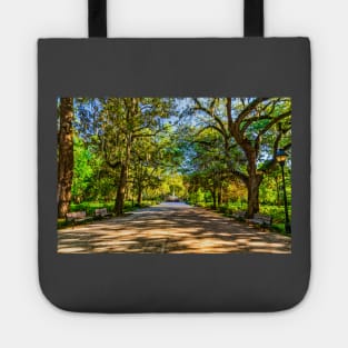 Forsyth Park Savannah Tote