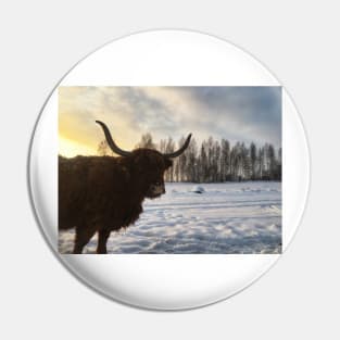 Scottish Highland Cattle Cow 2215 Pin