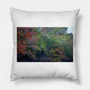 Fall Is Beautiful Pillow