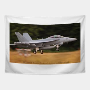 EA-18G Growler Super Hornet FCLP 6 Tapestry