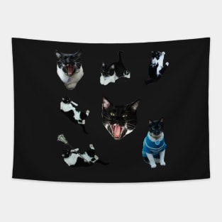 Tiny Cat Stickers Tapestry