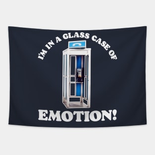 Glass Case of Emotion Tapestry