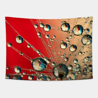 Chilli Dandy Drops Tapestry