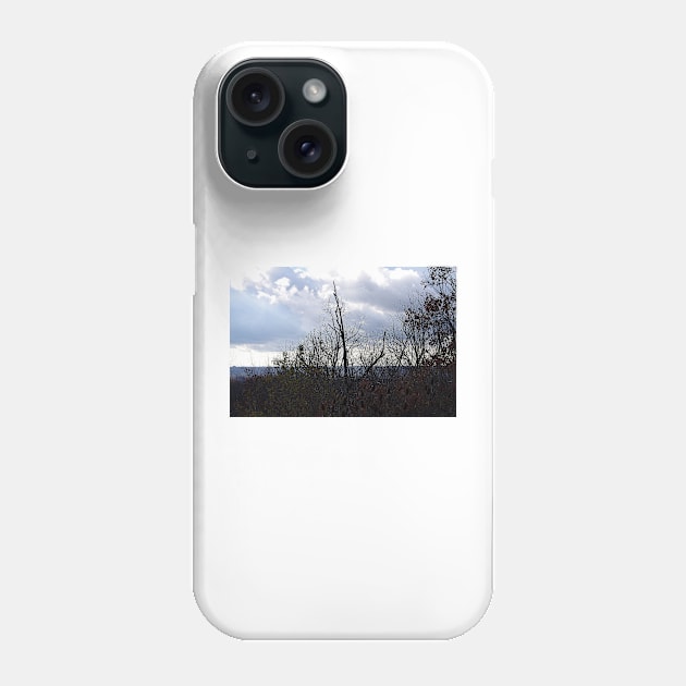 clouds and trees Phone Case by srosu