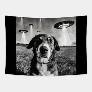 Dog Selfie With Aliens UFO Tapestry