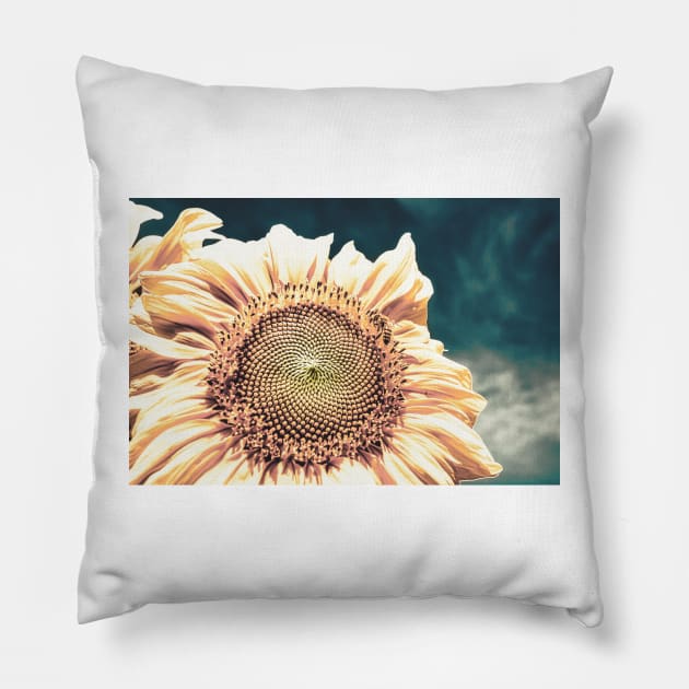 Sunflower With Bee 3 Pillow by Robert Alsop