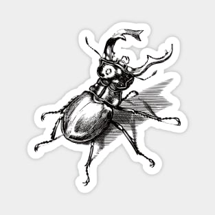 Dramabite Vintage stag beetle illustration Magnet