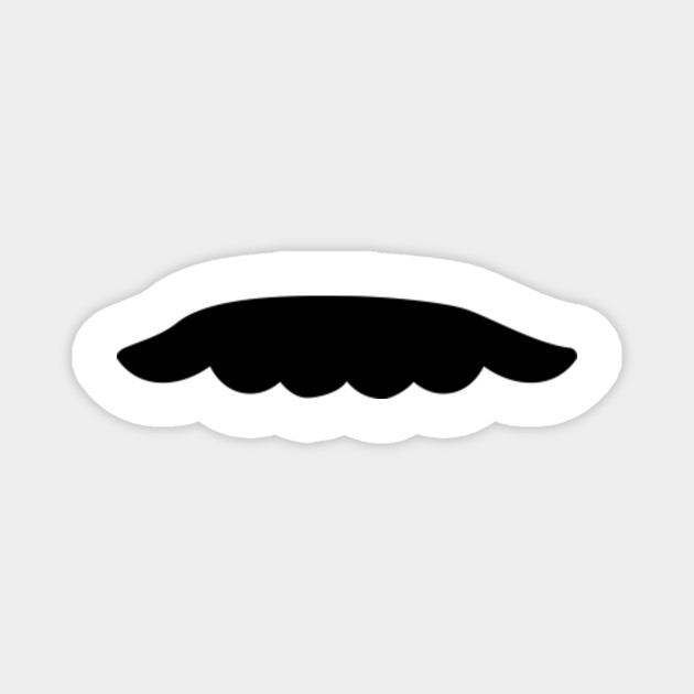 magnet face beard toy