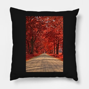 Wye Island Ruby Road Pillow