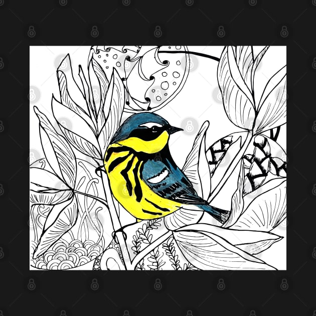 Magnolia Warbler by Peleegirl