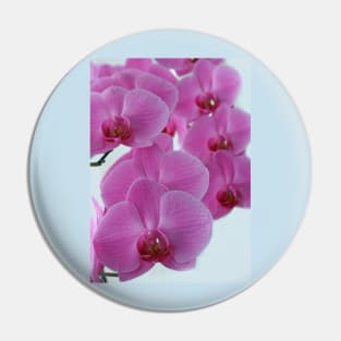 Pink Orchid Flower Pin
