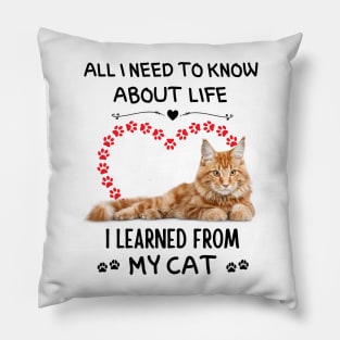 All I Need To Know About Life I Learned From My Cat Pillow