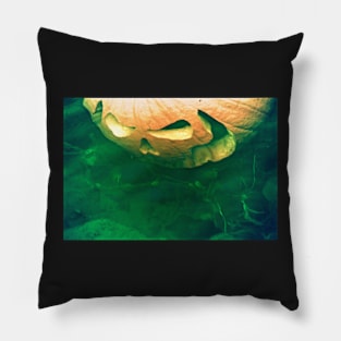 THE LANTERN OF THE LAKE Pillow