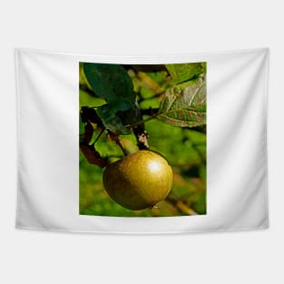 hanging apple Tapestry