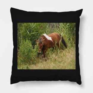 Assateague Pony in the Brush Pillow