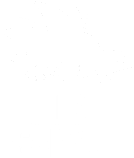 Just Saiyan Magnet