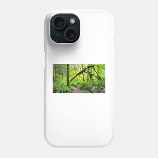 Squak Mountain State Park Phone Case