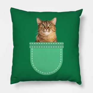 Grey Tabby Cat in Pocket Pillow