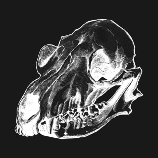 The skull without background (2-nd version) T-Shirt