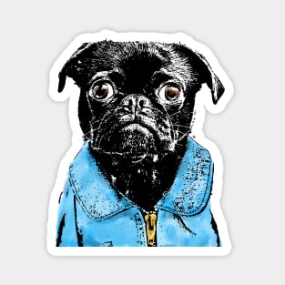 Cool Punk Pug - Would You Look At ME? Magnet