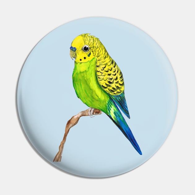 Cute budgie Pin by Bwiselizzy