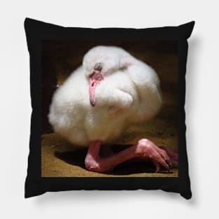 Caribbean Flamingo chick Pillow