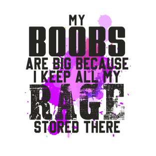 My Boobs Are Big I Keep All My Rage Stored Here Women T-Shirt