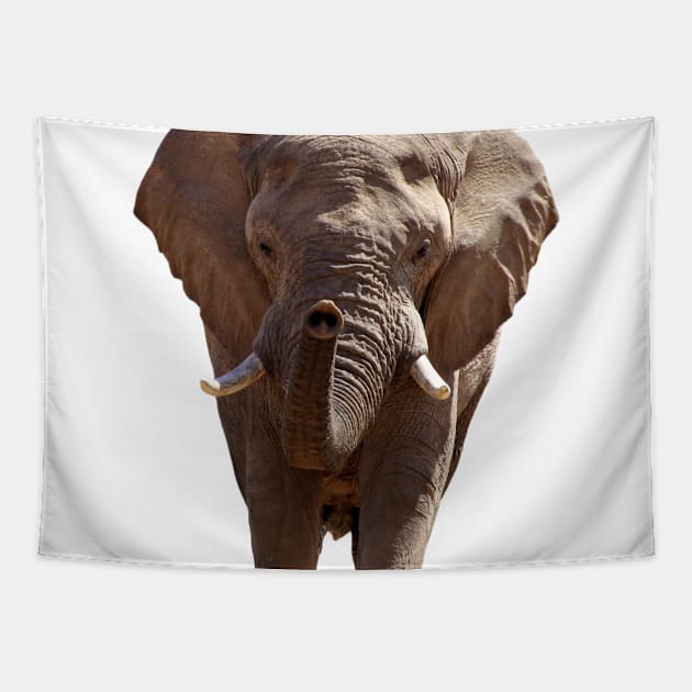 Elephant (No Background) Tapestry by Victorious Maximus