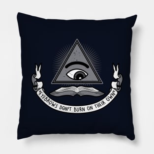 Funny Vintage School Education Illuminati Slogan Funny Saying Meme Pillow