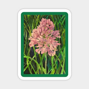 Wild orchids watercolour painting Magnet